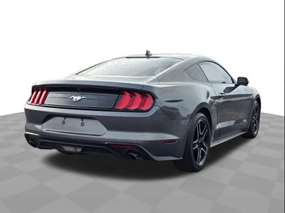 2023 Ford Mustang EcoBoost