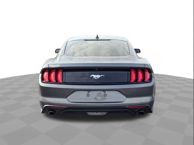 2023 Ford Mustang EcoBoost