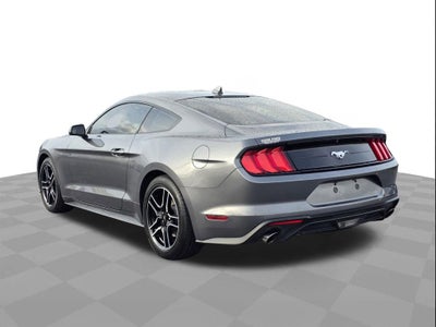 2023 Ford Mustang EcoBoost