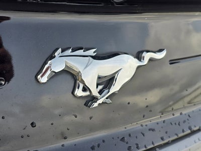 2023 Ford Mustang EcoBoost